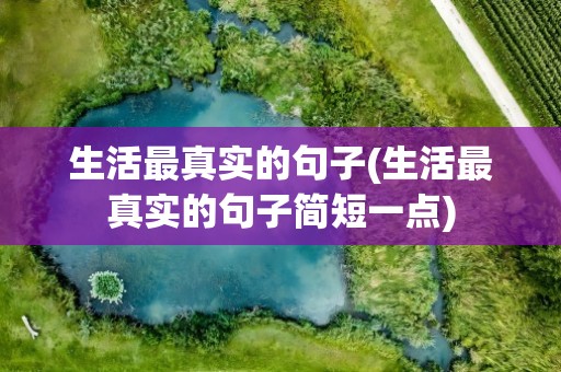 生活最真实的句子(生活最真实的句子简短一点)