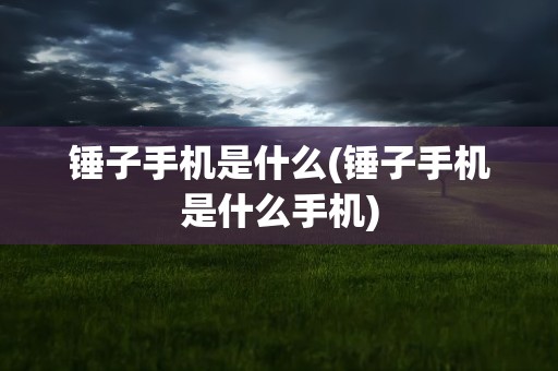 锤子手机是什么(锤子手机是什么手机)
