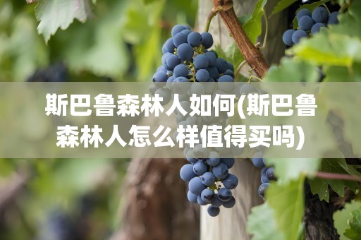 斯巴鲁森林人如何(斯巴鲁森林人怎么样值得买吗)