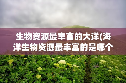 生物资源最丰富的大洋(海洋生物资源最丰富的是哪个大洋)