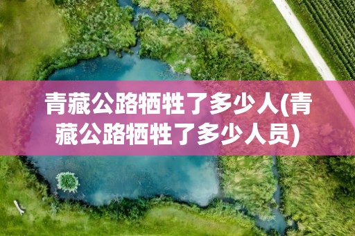 青藏公路牺牲了多少人(青藏公路牺牲了多少人员)