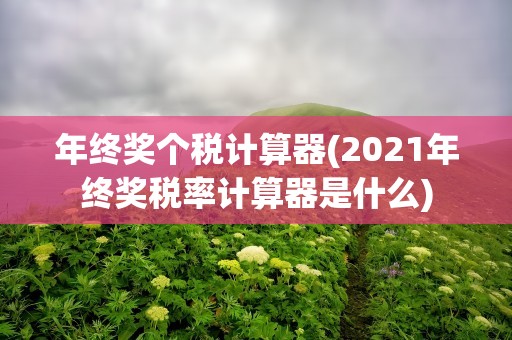 年终奖个税计算器(2021年终奖税率计算器是什么)