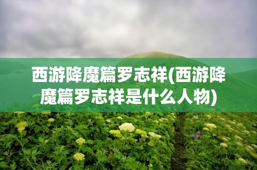 西游降魔篇罗志祥(西游降魔篇罗志祥是什么人物)
