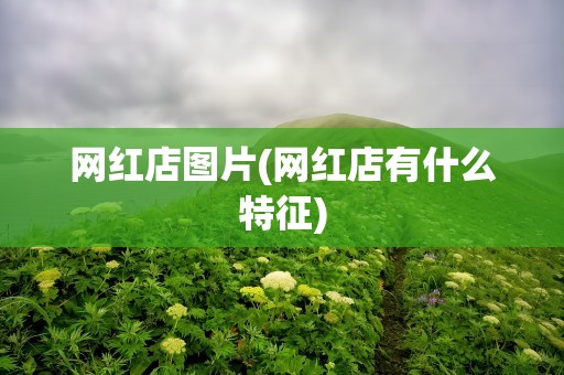 网红店图片(网红店有什么特征)