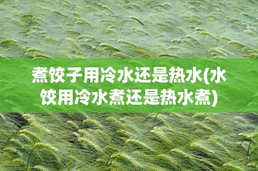 煮饺子用冷水还是热水(水饺用冷水煮还是热水煮)