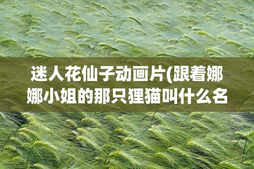 迷人花仙子动画片(跟着娜娜小姐的那只狸猫叫什么名字。)