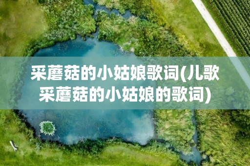 采蘑菇的小姑娘歌词(儿歌采蘑菇的小姑娘的歌词)