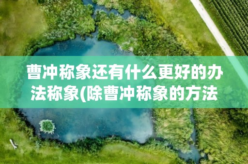 曹冲称象还有什么更好的办法称象(除曹冲称象的方法外还有什么方法可以称象)