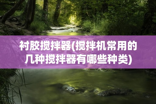 衬胶搅拌器(搅拌机常用的几种搅拌器有哪些种类)