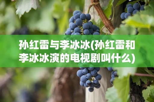 孙红雷与李冰冰(孙红雷和李冰冰演的电视剧叫什么)
