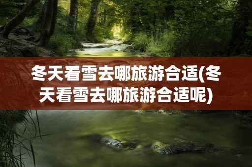 冬天看雪去哪旅游合适(冬天看雪去哪旅游合适呢)