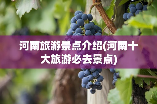河南旅游景点介绍(河南十大旅游必去景点)