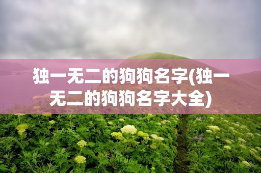 独一无二的狗狗名字(独一无二的狗狗名字大全)