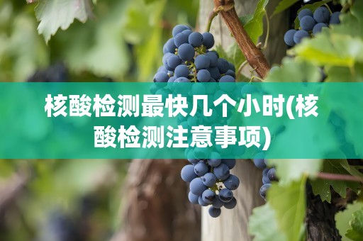 核酸检测最快几个小时(核酸检测注意事项)