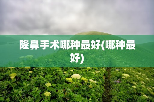 隆鼻手术哪种最好(哪种最好)