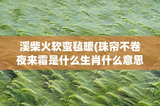 溪柴火软蛮毡暖(珠帘不卷夜来霜是什么生肖什么意思啊)