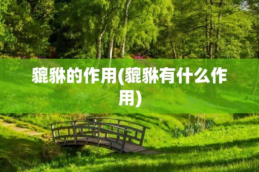 貔貅的作用(貔貅有什么作用)