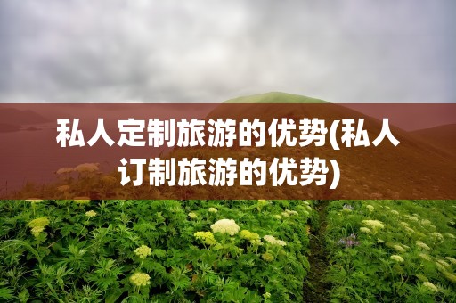 私人定制旅游的优势(私人订制旅游的优势)