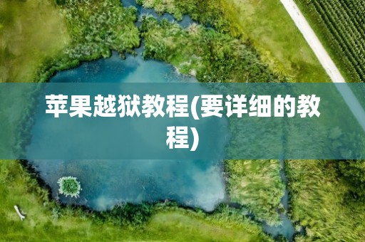 苹果越狱教程(要详细的教程)