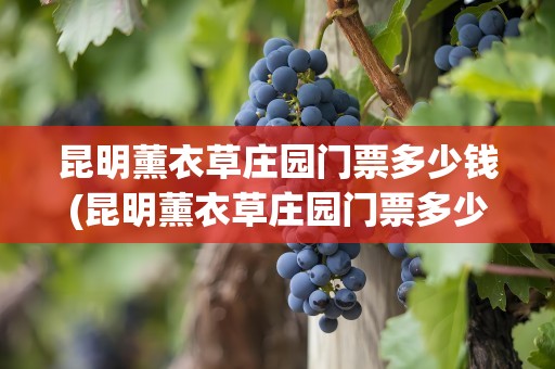 昆明薰衣草庄园门票多少钱(昆明薰衣草庄园门票多少钱啊)