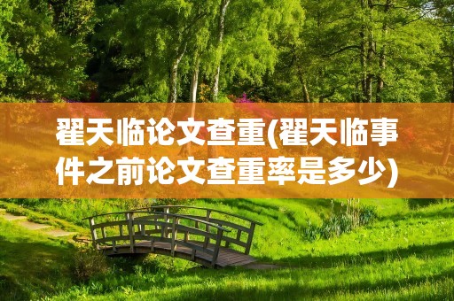 翟天临论文查重(翟天临事件之前论文查重率是多少)