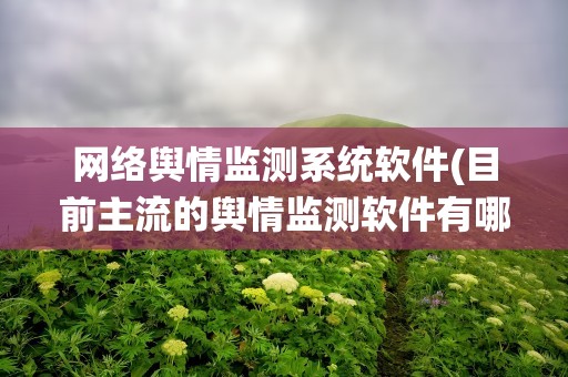 网络舆情监测系统软件(目前主流的舆情监测软件有哪些)