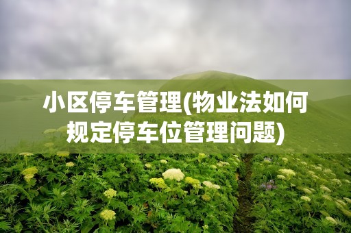 小区停车管理(物业法如何规定停车位管理问题)