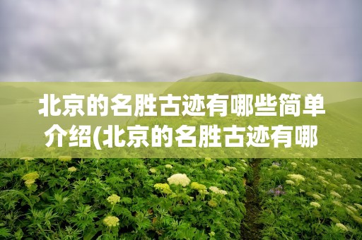北京的名胜古迹有哪些简单介绍(北京的名胜古迹有哪些简单介绍英文)