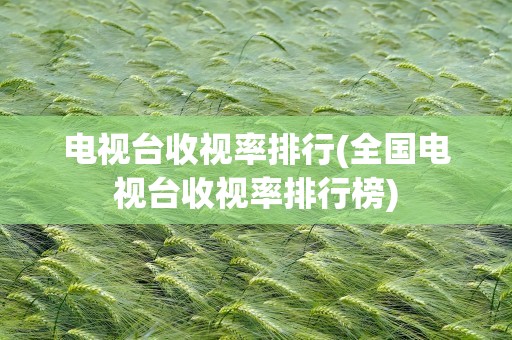 电视台收视率排行(全国电视台收视率排行榜)