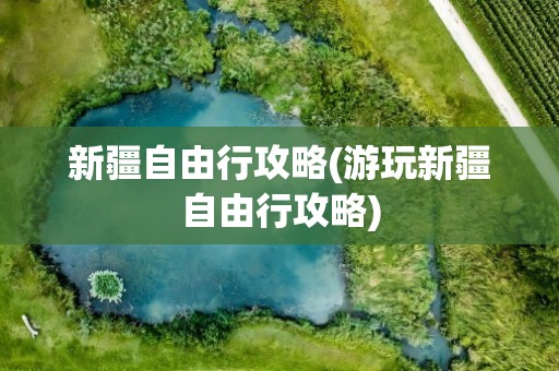 新疆自由行攻略(游玩新疆自由行攻略)