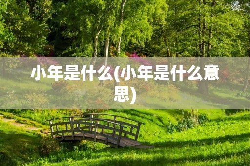 小年是什么(小年是什么意思)