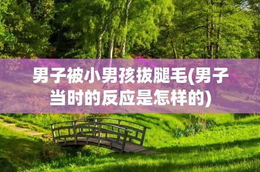 男子被小男孩拔腿毛(男子当时的反应是怎样的)
