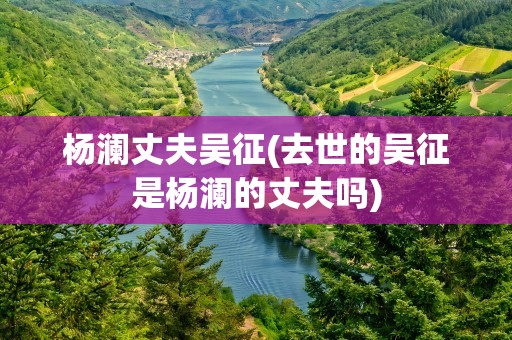 杨澜丈夫吴征(去世的吴征是杨澜的丈夫吗)