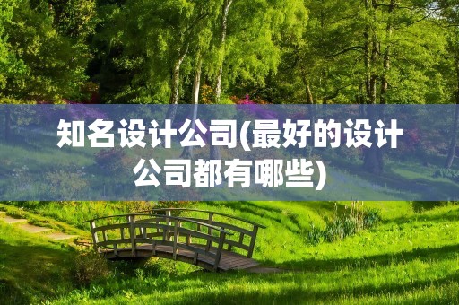 知名设计公司(最好的设计公司都有哪些)