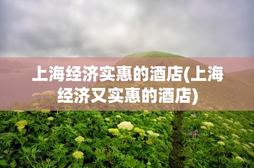 上海经济实惠的酒店(上海经济又实惠的酒店)