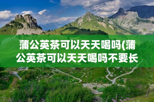 蒲公英茶可以天天喝吗(蒲公英茶可以天天喝吗不要长期喝)