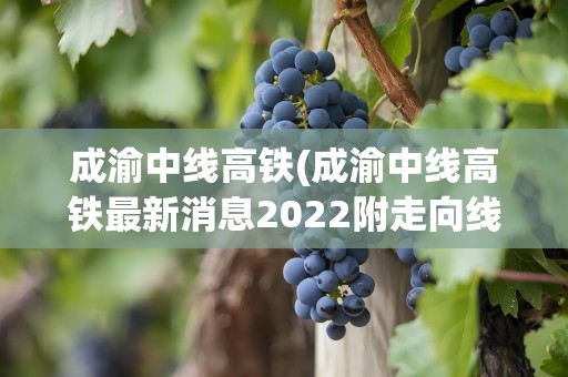 成渝中线高铁(成渝中线高铁最新消息2022附走向线路图)