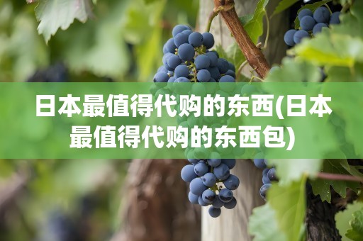 日本最值得代购的东西(日本最值得代购的东西包)