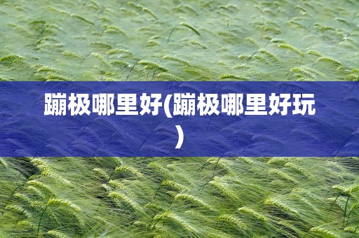 蹦极哪里好(蹦极哪里好玩)