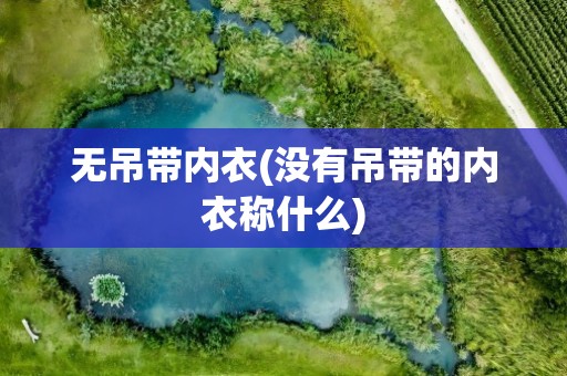 无吊带内衣(没有吊带的内衣称什么)