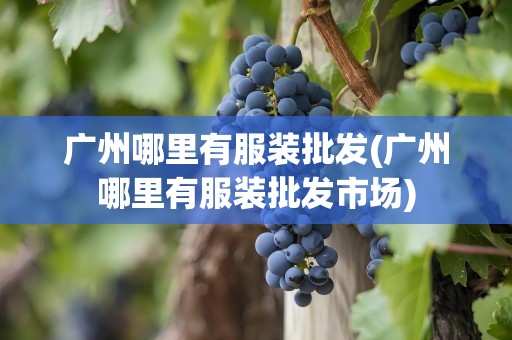 广州哪里有服装批发(广州哪里有服装批发市场)