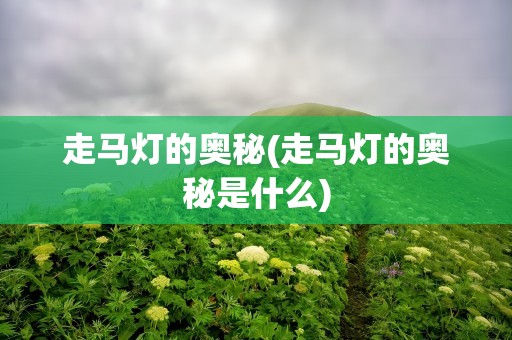 走马灯的奥秘(走马灯的奥秘是什么)