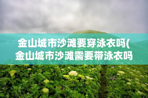 金山城市沙滩要穿泳衣吗(金山城市沙滩需要带泳衣吗)