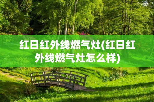 红日红外线燃气灶(红日红外线燃气灶怎么样)