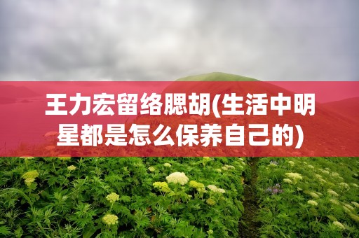 王力宏留络腮胡(生活中明星都是怎么保养自己的)