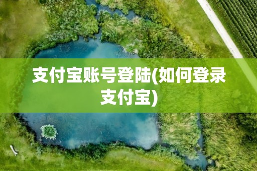 支付宝账号登陆(如何登录支付宝)