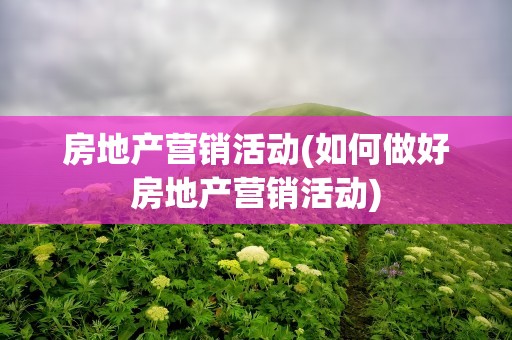 房地产营销活动(如何做好房地产营销活动)