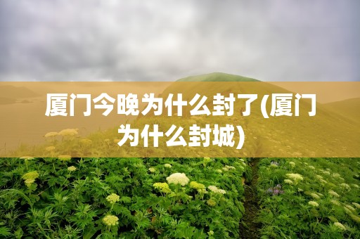 厦门今晚为什么封了(厦门为什么封城)