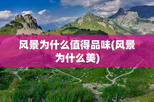 风景为什么值得品味(风景为什么美)