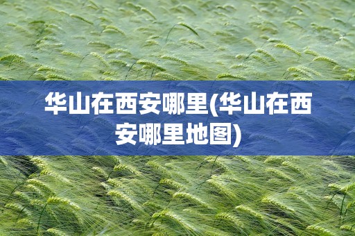 华山在西安哪里(华山在西安哪里地图)